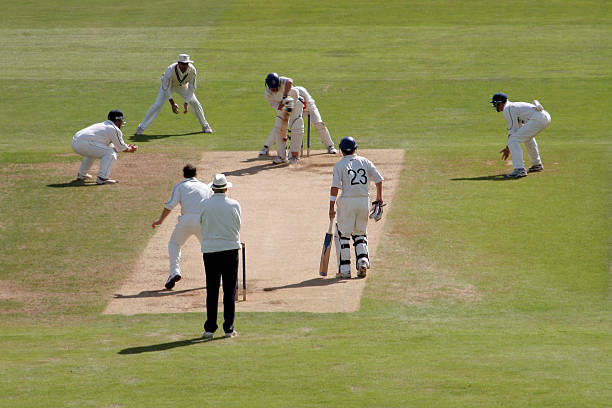 Exploring the impact of live odds updates on cricket betting