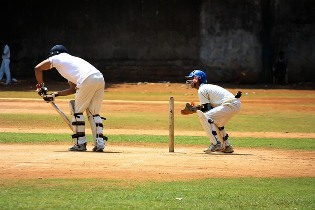 IPL and the Rise of Cricket Tourism: Impact on Local Economies and Communities