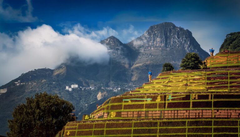 Playinexch Register: Easy Registration Process for New Users